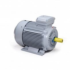 Электродвигатель ESQ PR 225 M4-SDN-Б1-S12-IE3 45/1500 IMB3