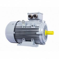 Электродвигатель ESQ PR 160 M4-SDN-Б1-S12-IE3 11/1500 IMB3