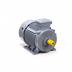Электродвигатель ESQ PR 315 S4 GST-Б1-S32-IE2 160/1500 IM1001