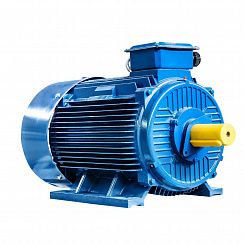 Электродвигатель 5АИ 355 М2 315/3000 IM1001