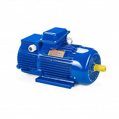 Электродвигатель 5МТН 280 L10 75/600 IM1003