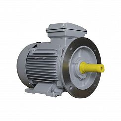Электродвигатель ESQ PR 160 M4-SDN-Б1-S12-IE3 11/1500 IMB35