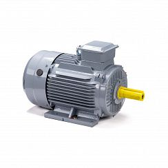 Электродвигатель ESQ PR 160 S2 GST-Б1-S12-IE2 15/3000 IM1001